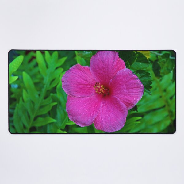 Item preview, Beautiful Bright Pink Hawaiian Hibiscus designed and sold by CommandoCrane.