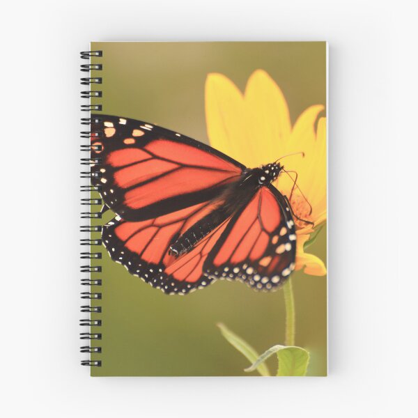 Item preview, Danaus plexippus on Helianthus hirsutus designed and sold by outdoorstudio.