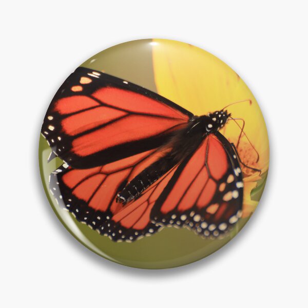 Item preview, Danaus plexippus on Helianthus hirsutus designed and sold by outdoorstudio.