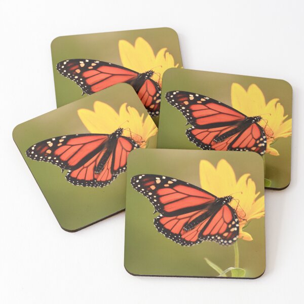 Item preview, Danaus plexippus on Helianthus hirsutus designed and sold by outdoorstudio.