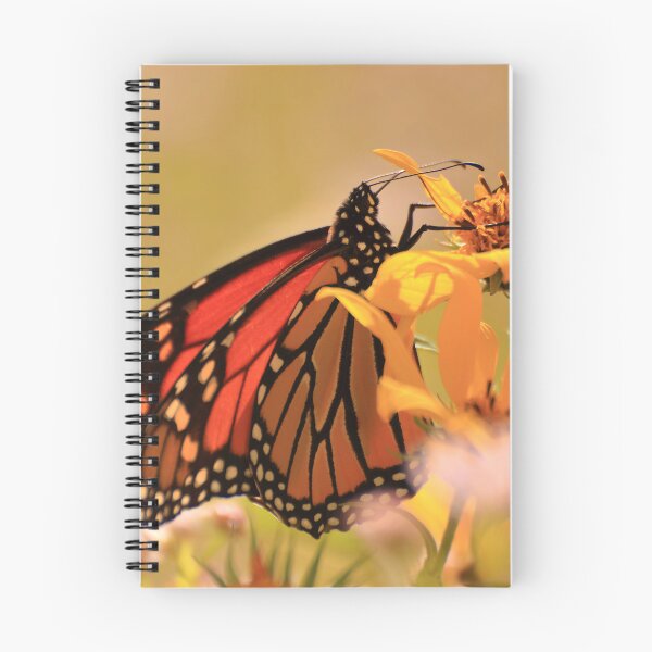 Item preview, Danaus plexippus on Helianthus hirsutus designed and sold by outdoorstudio.
