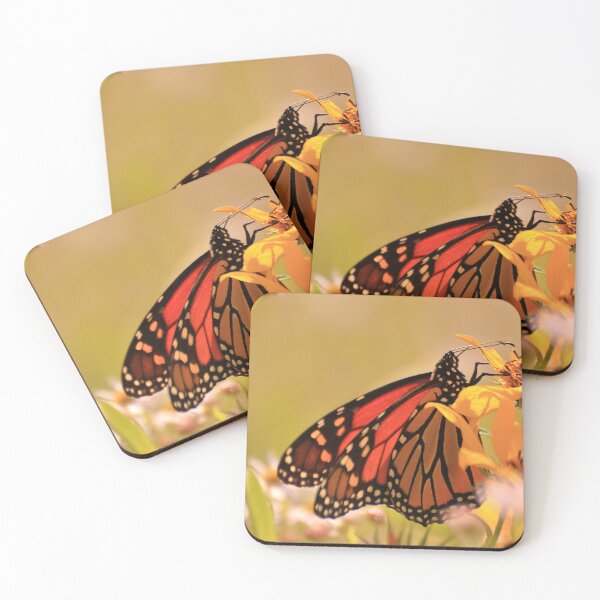 Item preview, Danaus plexippus on Helianthus hirsutus designed and sold by outdoorstudio.