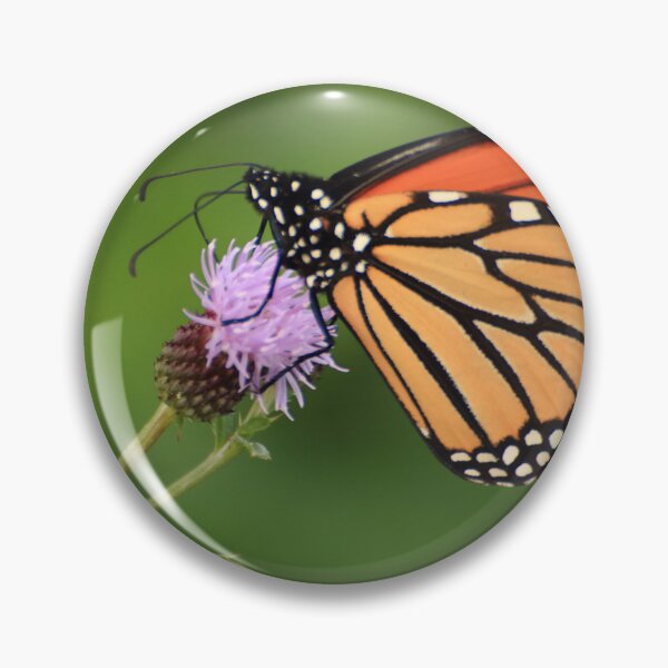 Item preview, Danaus plexippus on Cirsium arvense designed and sold by outdoorstudio.