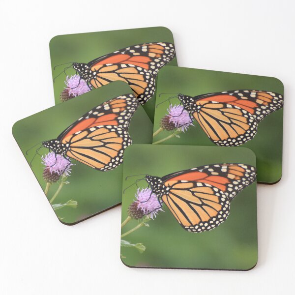 Item preview, Danaus plexippus on Cirsium arvense designed and sold by outdoorstudio.