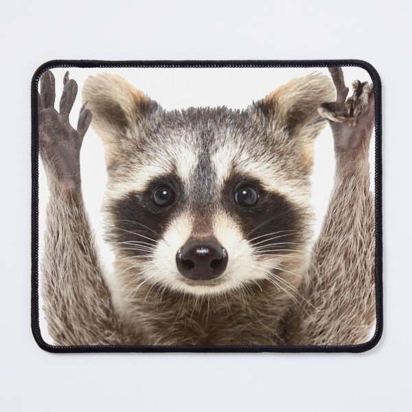 Item preview, Raccoon rock sign designed and sold by ACOTARO.