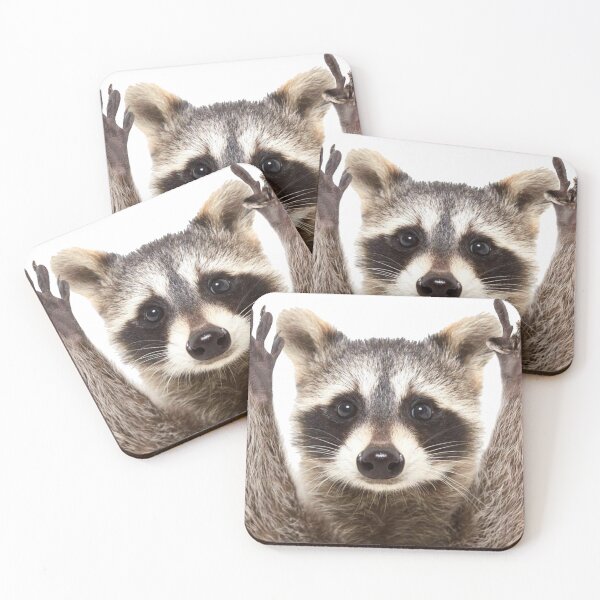 Item preview, Raccoon rock sign designed and sold by ACOTARO.