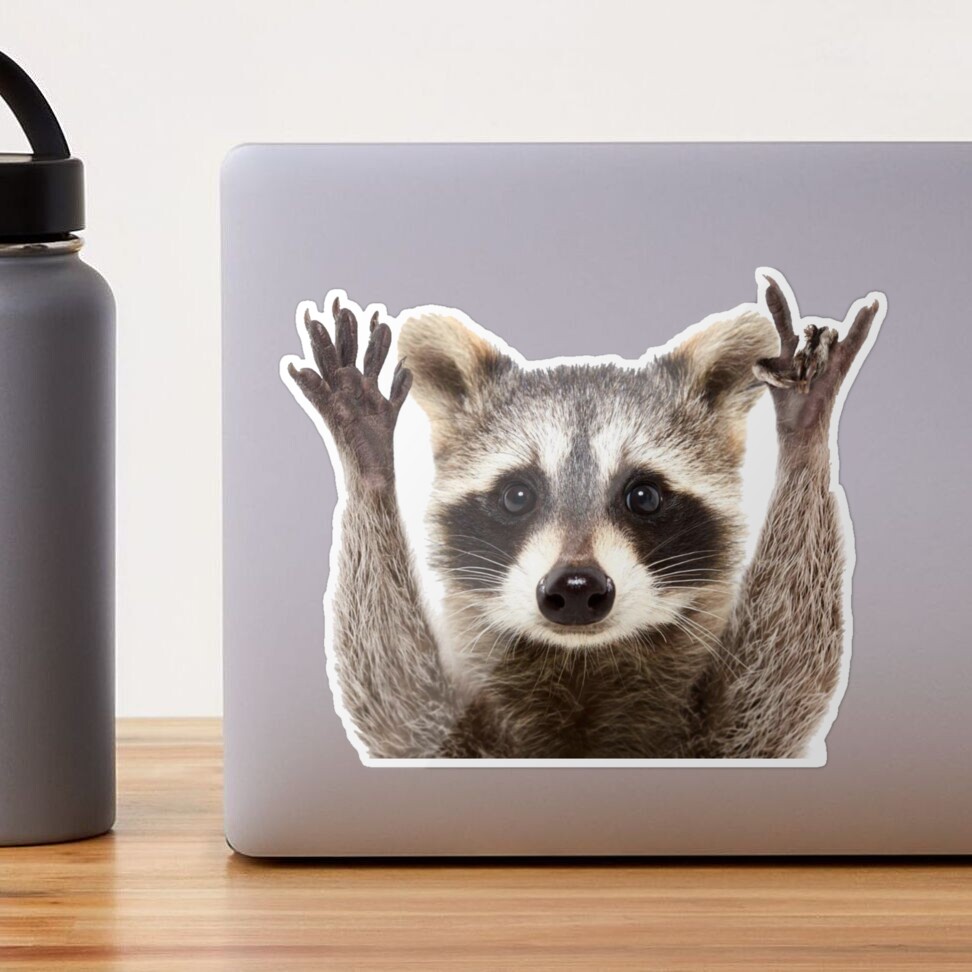 NSS Raccoon Rock Sticker