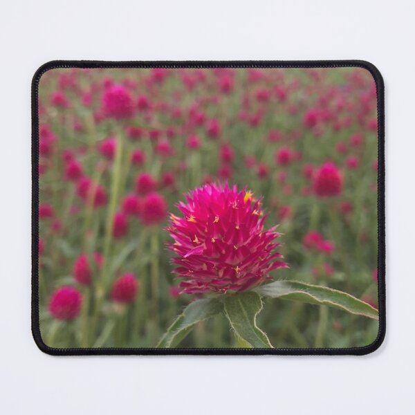 Item preview, Thistle Time designed and sold by TrilliumArts.