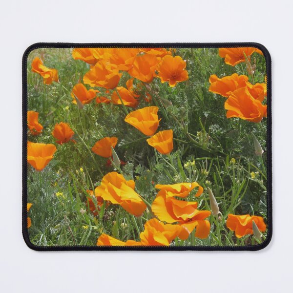 Item preview, California Poppy Superbloom designed and sold by TrilliumArts.