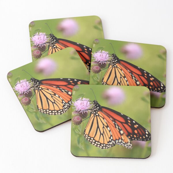 Item preview, Danaus plexippus on Cirsium arvense designed and sold by outdoorstudio.