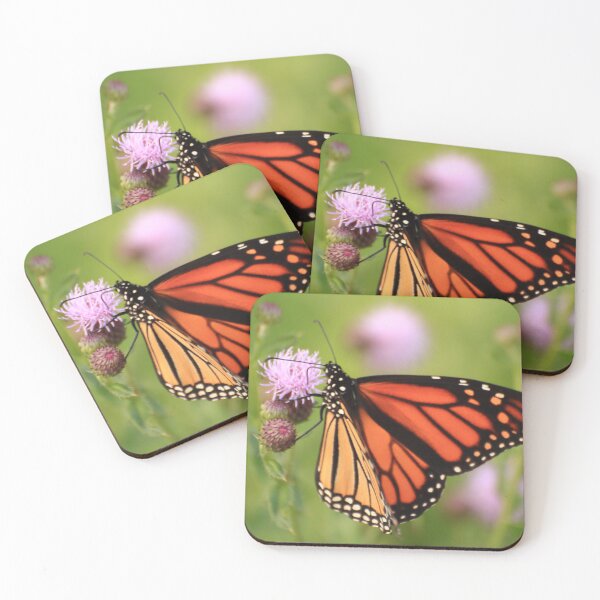 Item preview, Danaus plexippus on Cirsium arvense designed and sold by outdoorstudio.