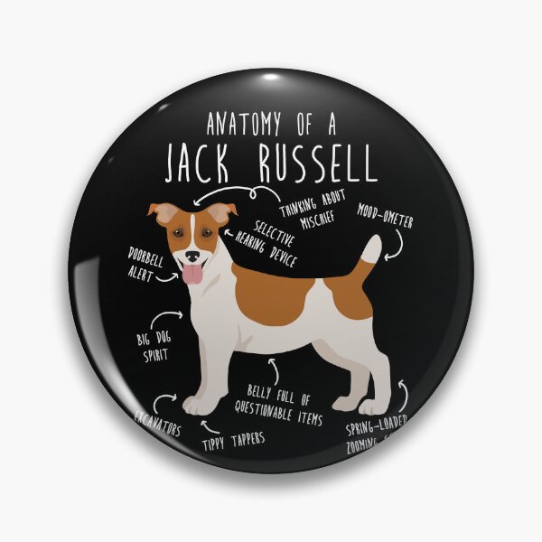 Item preview, Jack Russell Terrier Dog Anatomy designed and sold by Clara Hollins.