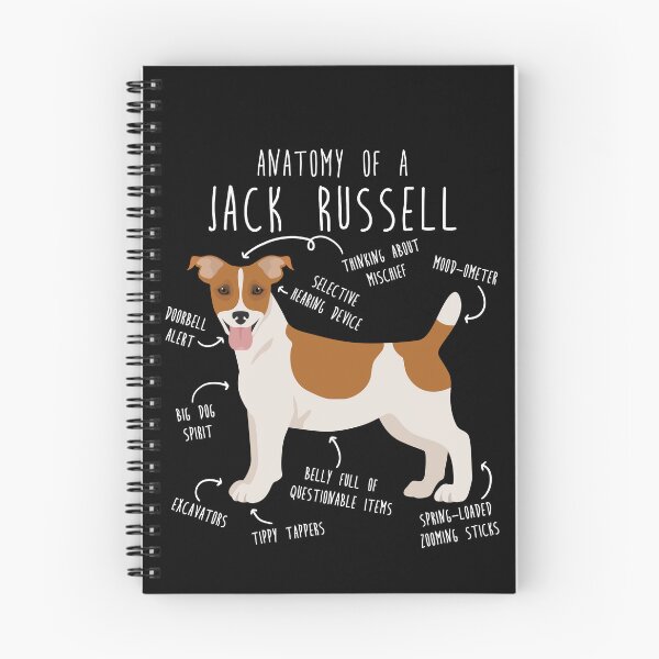 Artikelvorschau, Jack Russell Terrier Hundeanatomie entworfen und verkauft von Clara Hollins.