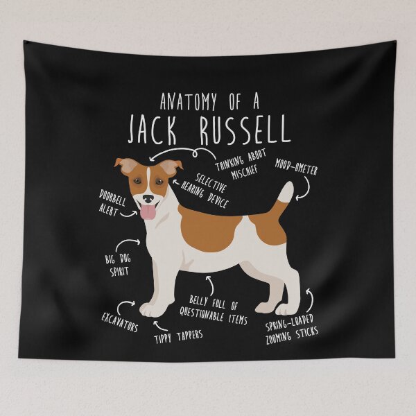 Item preview, Jack Russell Terrier Dog Anatomy designed and sold by Clara Hollins.