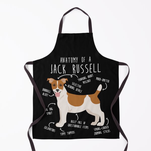Item preview, Jack Russell Terrier Dog Anatomy designed and sold by Clara Hollins.