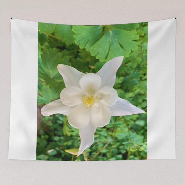 Item preview, White Columbine Flower designed and sold by CommandoCrane.