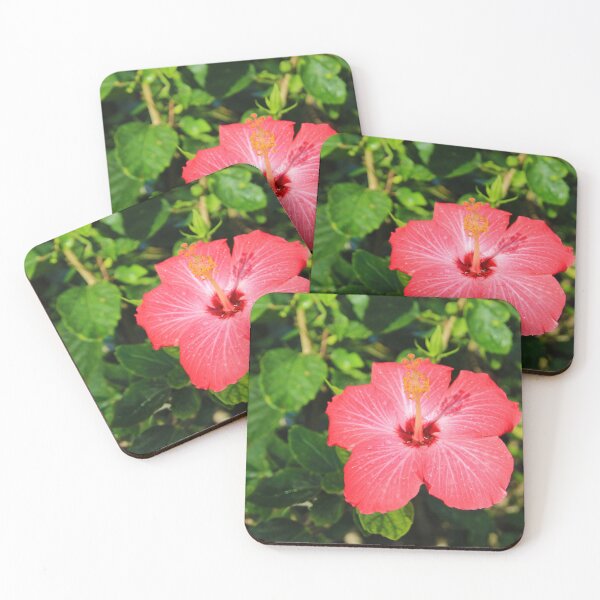 Item preview, Lone Red Hibiscus designed and sold by CommandoCrane.