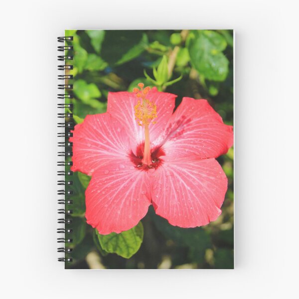 Item preview, Lone Red Hibiscus designed and sold by CommandoCrane.