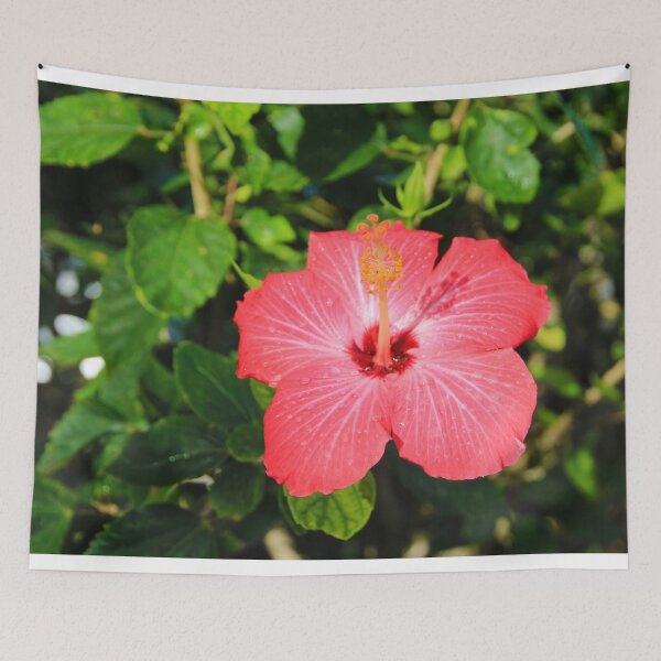 Item preview, Lone Red Hibiscus designed and sold by CommandoCrane.