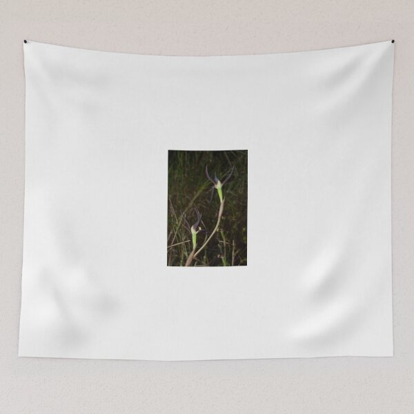 Item preview, Brown Beaks designed and sold by GP1746.