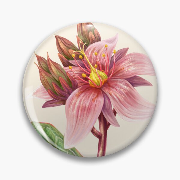 Item preview, Virginia Marsh St.John's Wort Scientific Illustration designed and sold by Nick Garnhart.