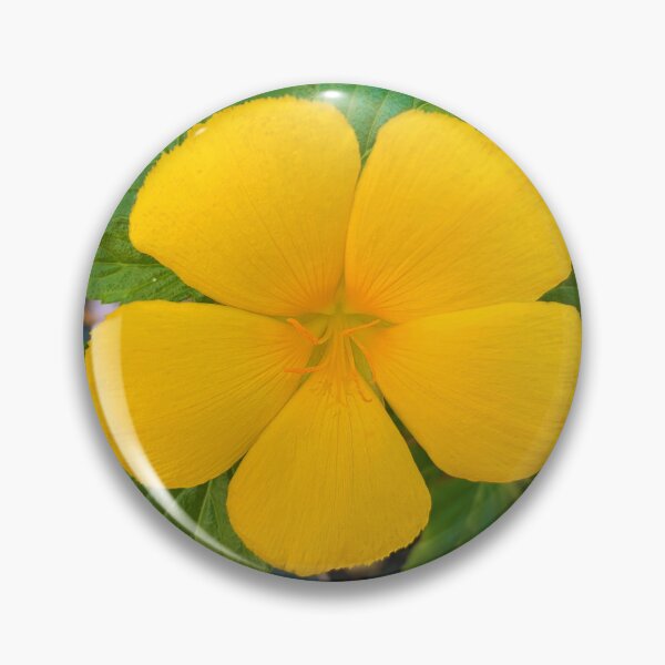Item preview, Yellow Damiana Flower designed and sold by CommandoCrane.