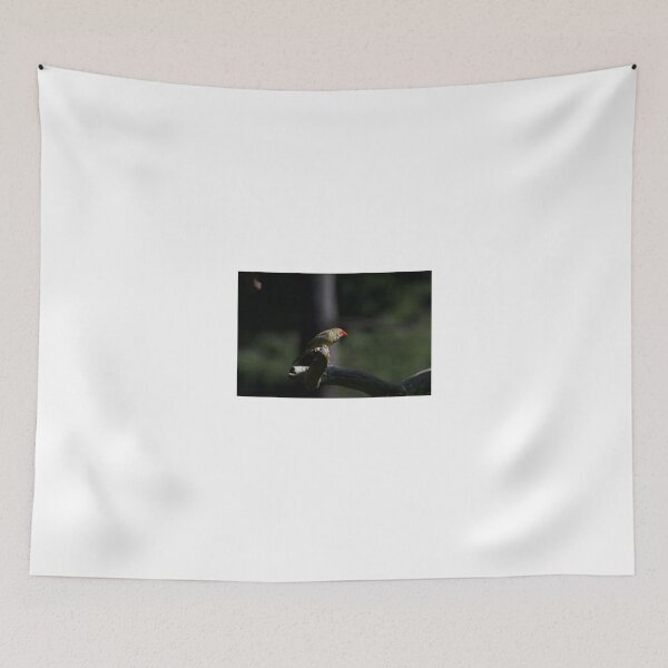 Item preview, Spotlit Starfinch designed and sold by GP1746.