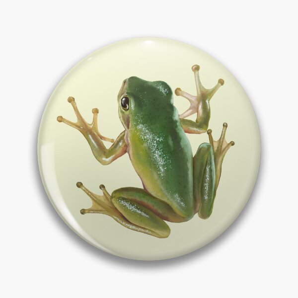 Item preview, American Green Tree Frog, Hyla cinerea, Scientific Illustration designed and sold by Nick Garnhart.