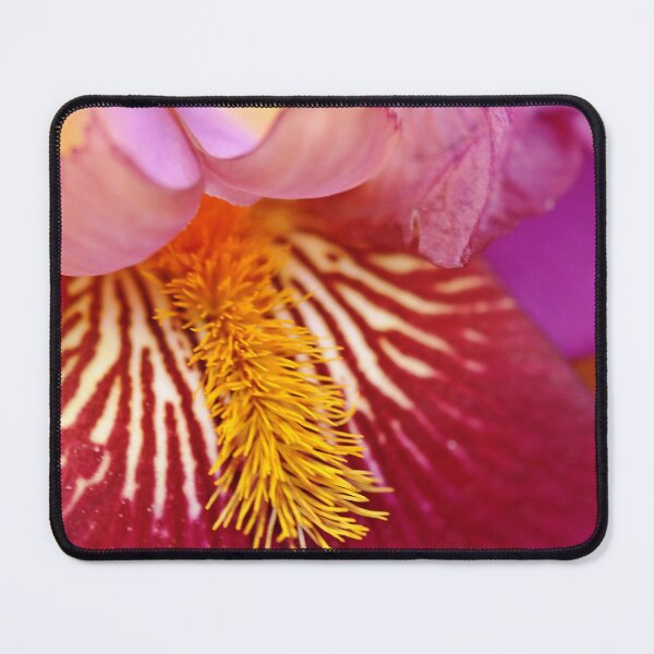 Item preview, Cherry Delight  designed and sold by Deb Oppermann.