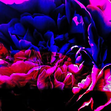 Artwork thumbnail, Shangri-La by Elliot L.