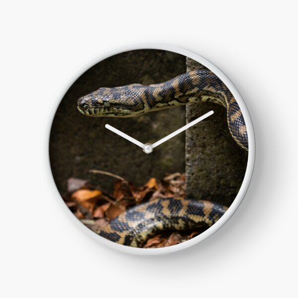 Item preview, Carpet Python designed and sold by Jade Welch.