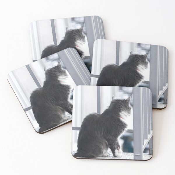 Item preview, cat looking through a fence designed and sold by Mel Moreno.