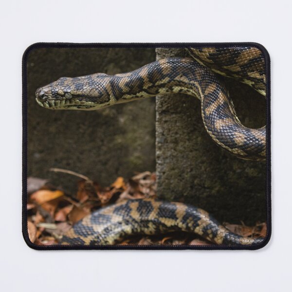 Item preview, Carpet Python designed and sold by Jade Welch.