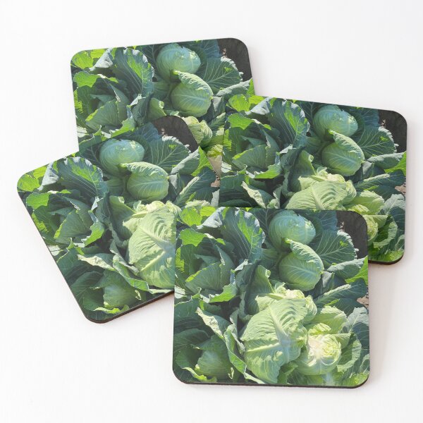 Item preview, Fresh Harvest Cabbages designed and sold by PinesandPalms.