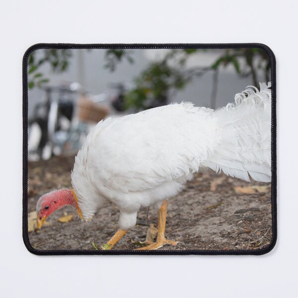 Item preview, Turkey with a difference designed and sold by Jade Welch.