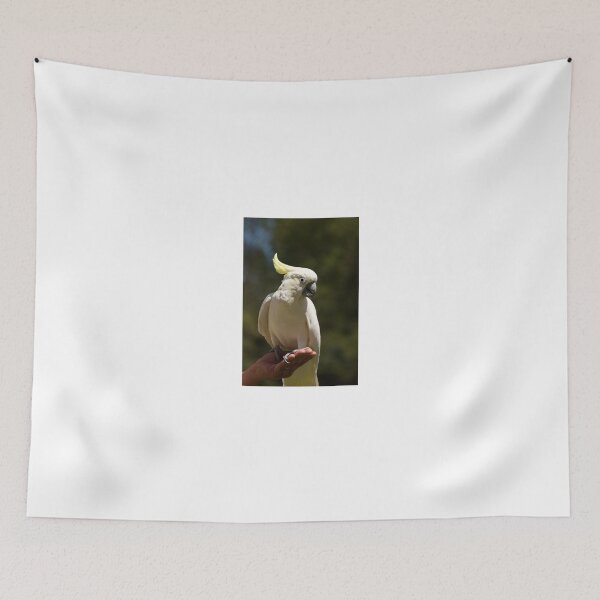 Item preview, I'm A Cheeky Boy designed and sold by GP1746.