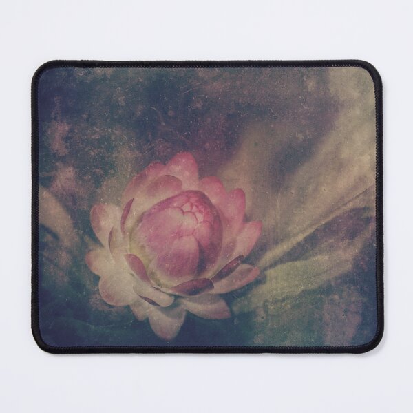 Item preview, Vintage grunge textured pink Australian native Everlasting Daisy designed and sold by Cloudlingpics.