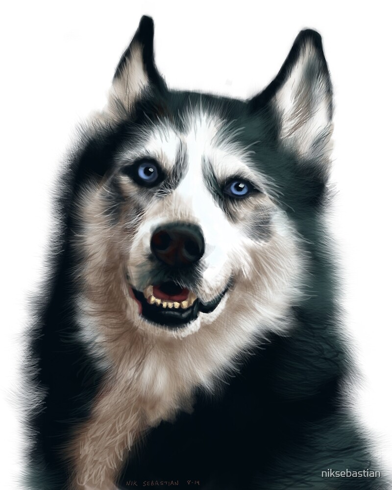 "Siberian Husky Painting" by niksebastian Redbubble