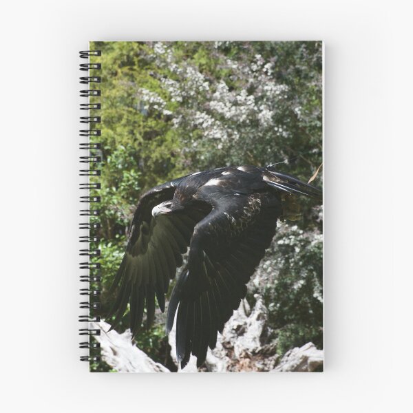 Item preview, Eagle In Flight designed and sold by GP1746.