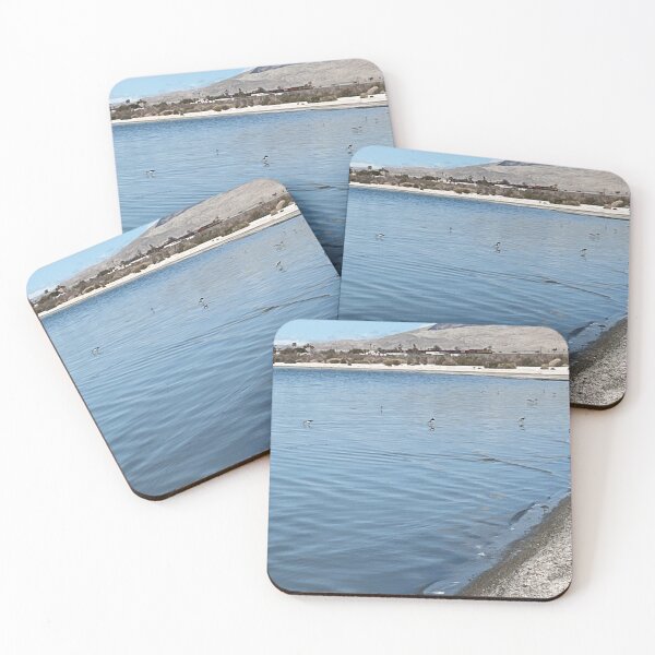 Item preview, Birds in the Salton Sea designed and sold by PinesandPalms.