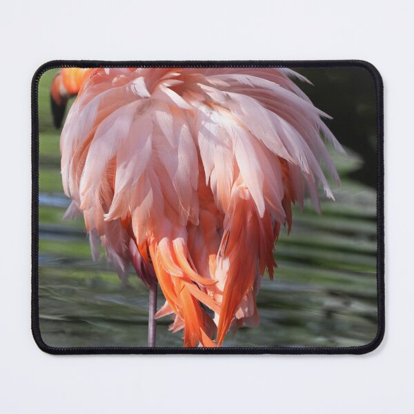Item preview, Shake your tail feathers  designed and sold by EFPhoto22.