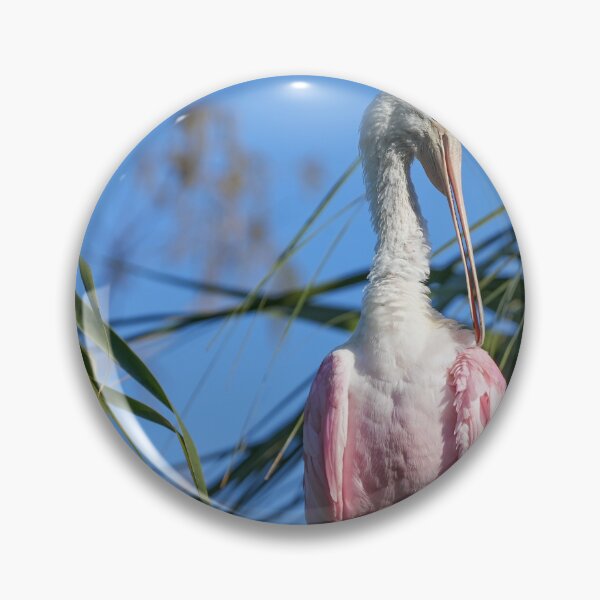 Item preview, Roseate Spoonbill in palm designed and sold by EFPhoto22.