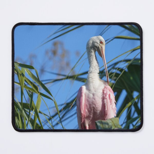 Item preview, Roseate Spoonbill in palm designed and sold by EFPhoto22.