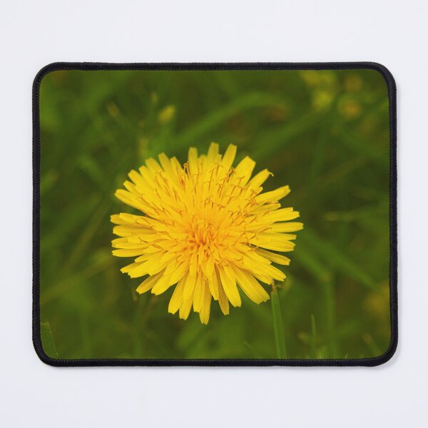 Item preview, Dandelion image designed and sold by annasofia.