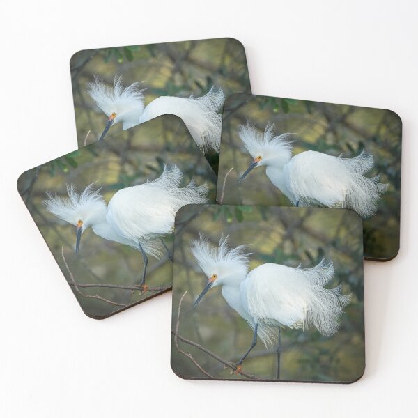 Item preview, Snowy Egret with breeding plumage  designed and sold by EFPhoto22.
