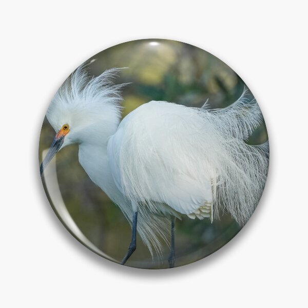 Item preview, Snowy Egret with breeding plumage  designed and sold by EFPhoto22.