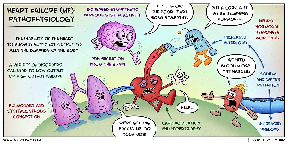 congestive-heart-failure-physiopedia