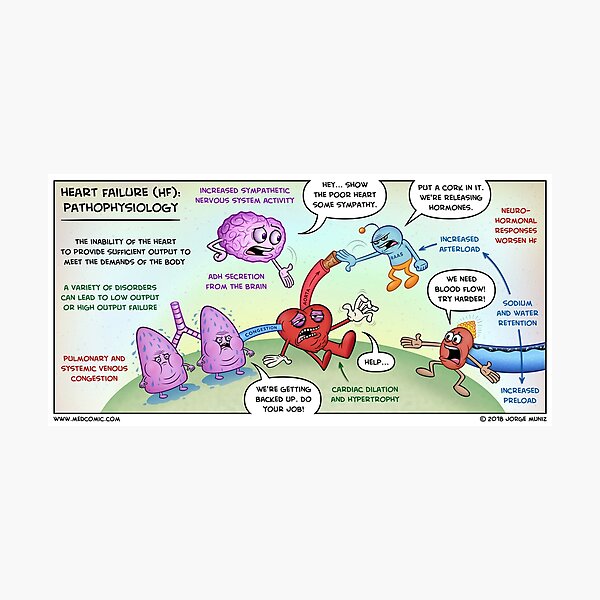 Heart Failure: Pathophysiology Photographic Print