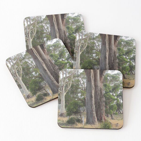 Item preview, Wiltshire White Gum #2 designed and sold by phillip wise.