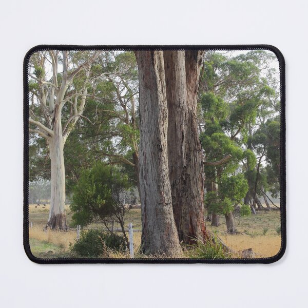 Item preview, Wiltshire White Gum #2 designed and sold by phillip wise.